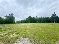 TBD 19.84 acres Country RD 1124 & 1127, Linden, TX 75563