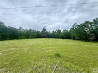 TBD 19.84 acres Country RD 1124 & 1127, Linden, TX 75563