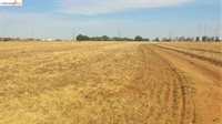 8000 Balfour Rd, Brentwood (CC), CA 94513
