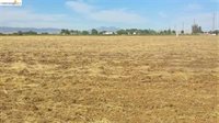 8000 Balfour Rd, Brentwood (CC), CA 94513