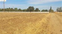 8000 Balfour Rd, Brentwood (CC), CA 94513
