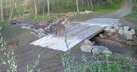 2900 Whispering Pines Drive, Canfield, OH 44406