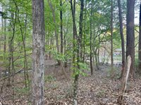 7656 Juniper Lane, Denver, NC 28037