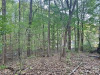 7656 Juniper Lane, Denver, NC 28037