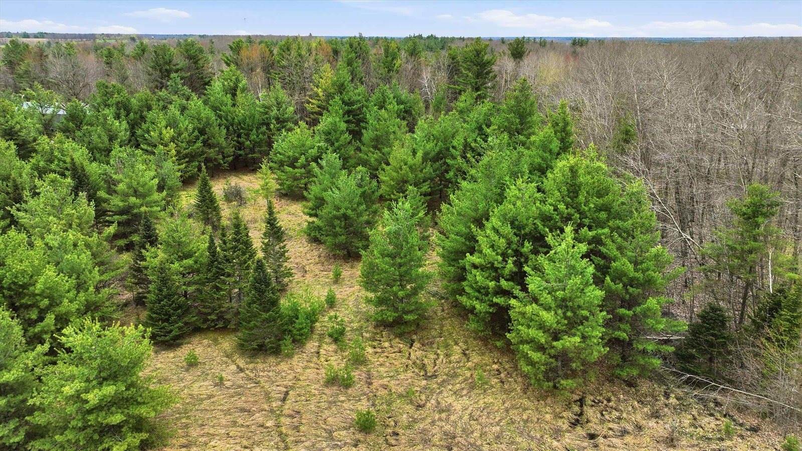 Lot 1 COUNTY ROAD DB, Mosinee, WI 54455