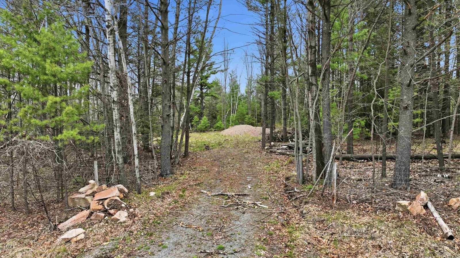 Lot 1 COUNTY ROAD DB, Mosinee, WI 54455