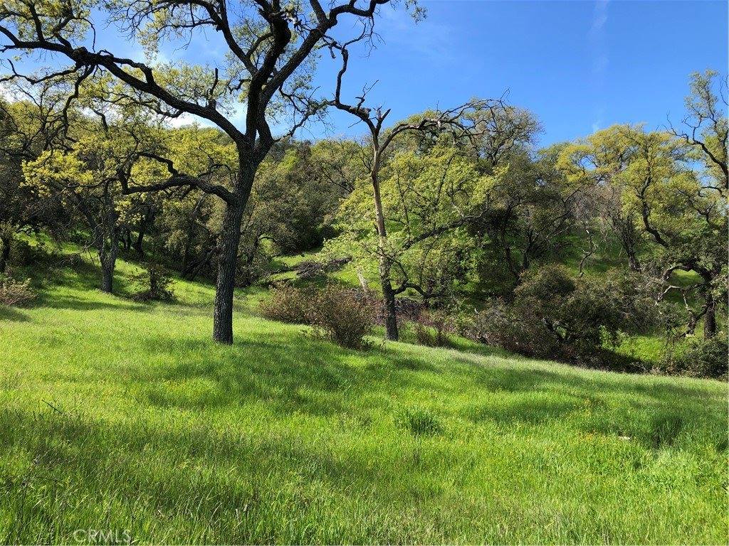 777 Tepusquet Road, Santa Maria, CA 93454