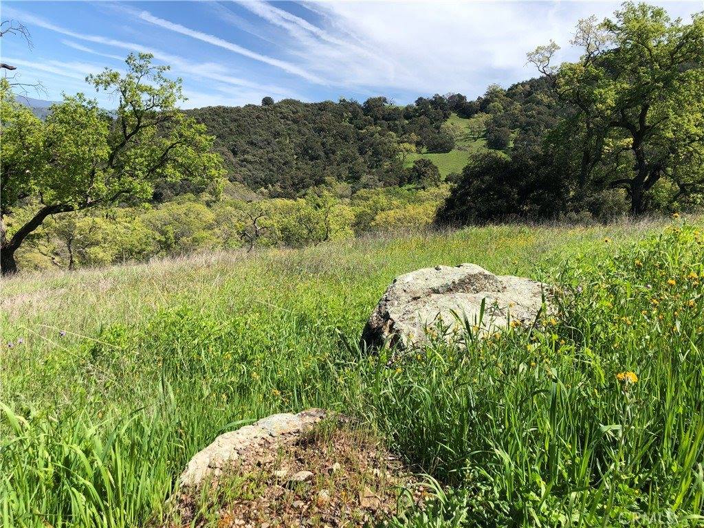 777 Tepusquet Road, Santa Maria, CA 93454