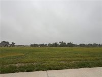1032 Calaveras, College Station, TX 77845