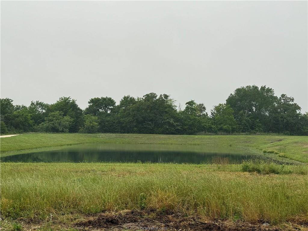 1046 Calaveras, College Station, TX 77845