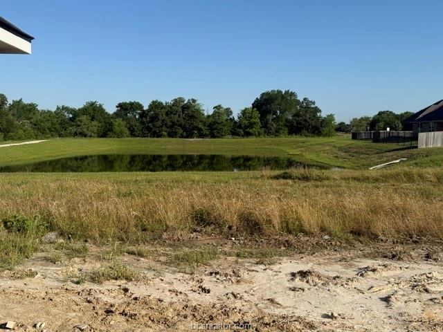 1046 Calaveras, College Station, TX 77845