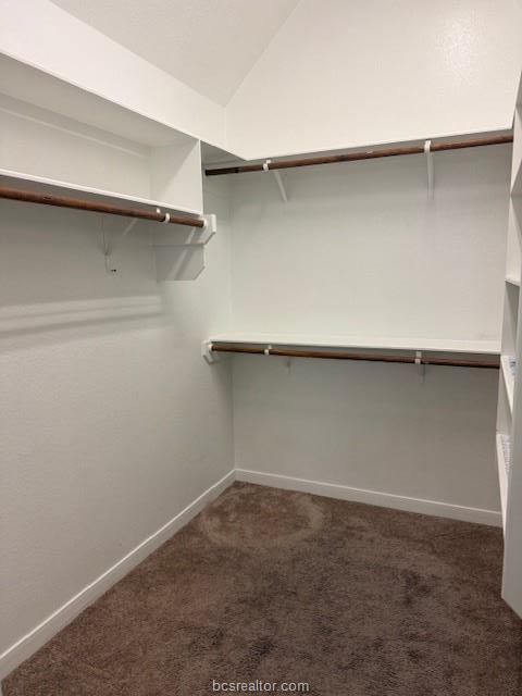 3815 Snowdance Court, College Station, TX 77845