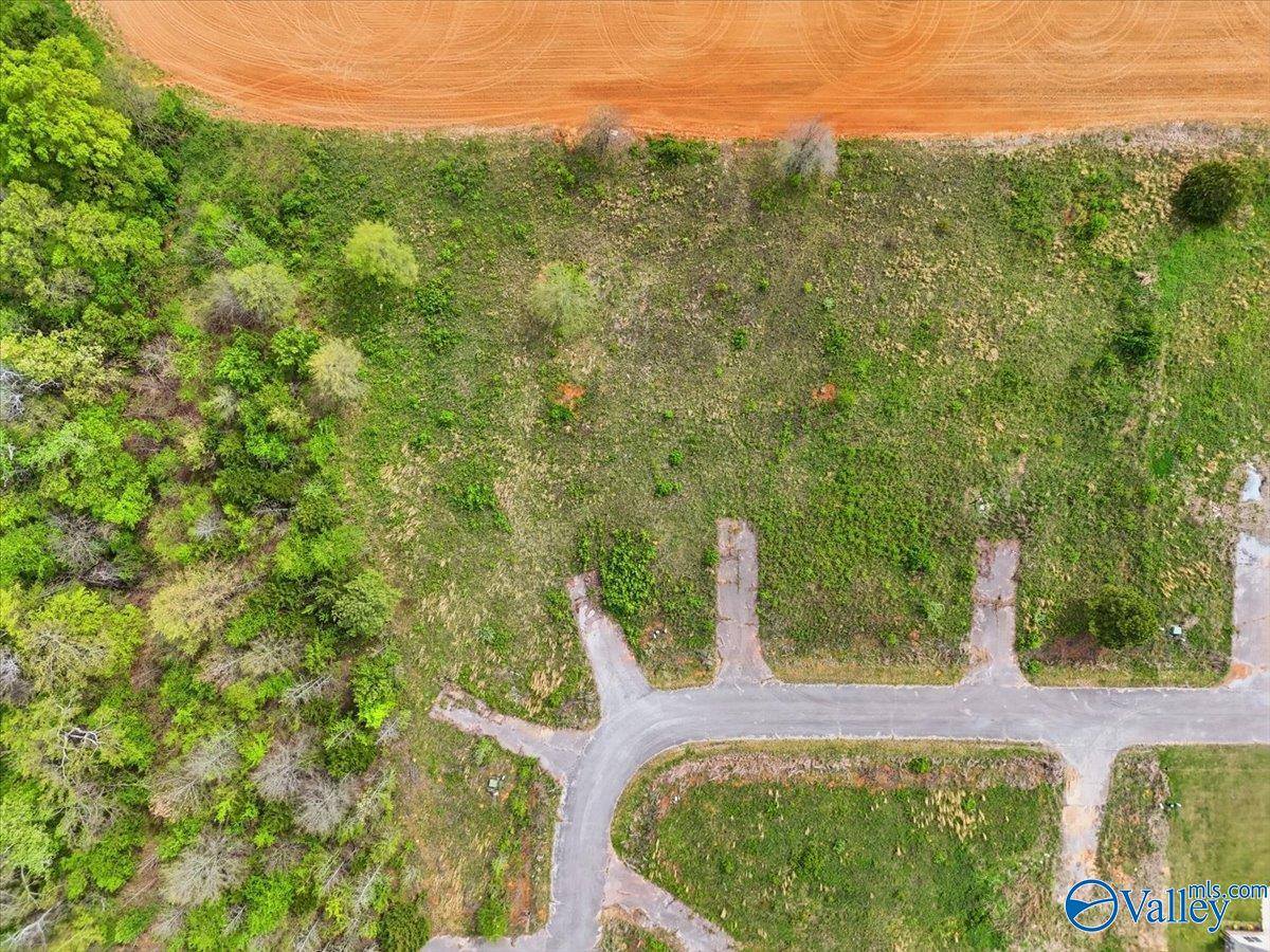 lot 8 Trails End Drive, Athens, AL 35611