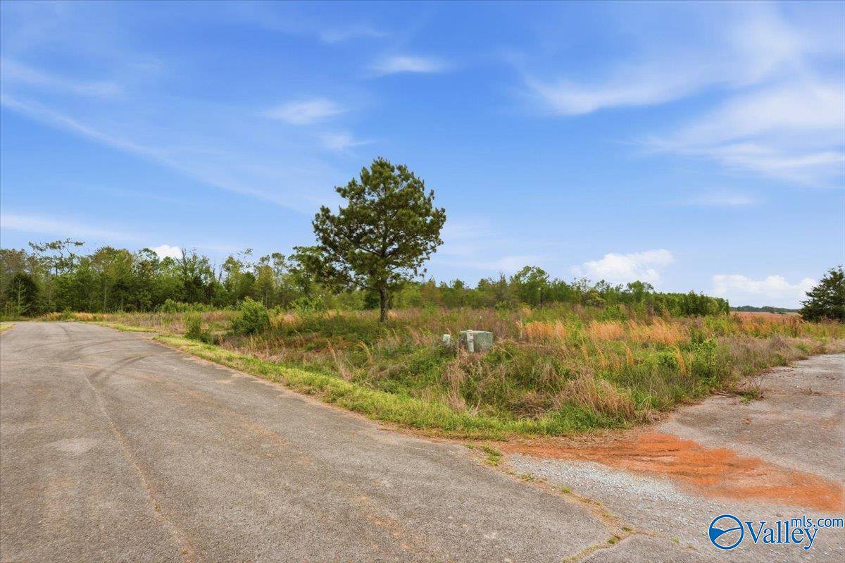 lot 8 Trails End Drive, Athens, AL 35611