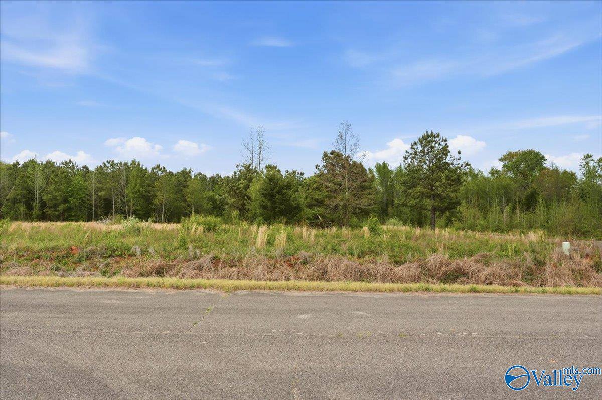 lot 8 Trails End Drive, Athens, AL 35611