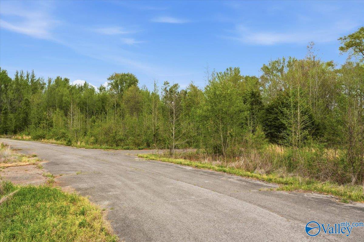 lot 8 Trails End Drive, Athens, AL 35611