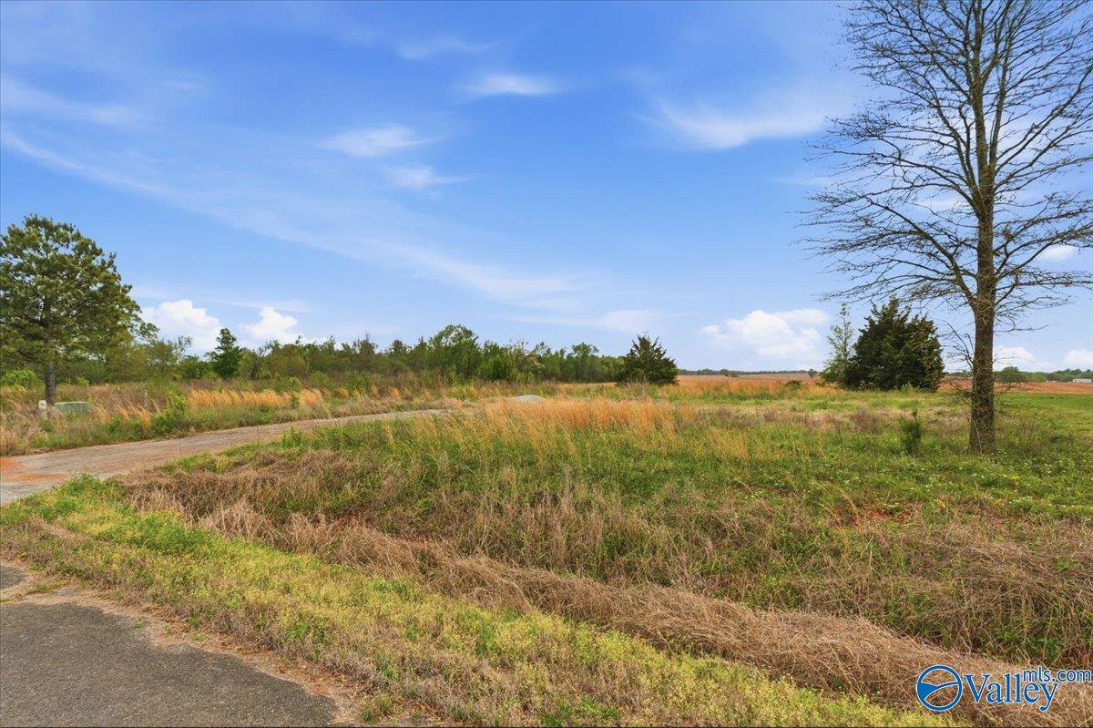 lot 8 Trails End Drive, Athens, AL 35611
