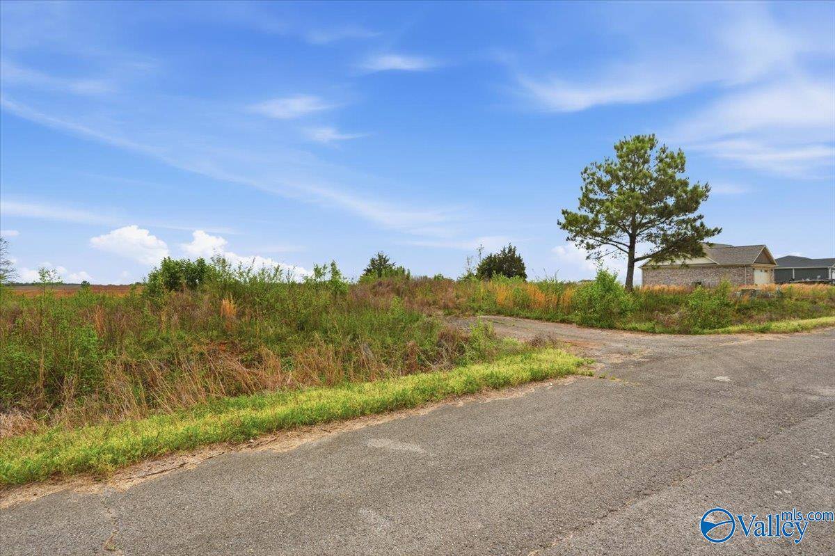 lot 8 Trails End Drive, Athens, AL 35611