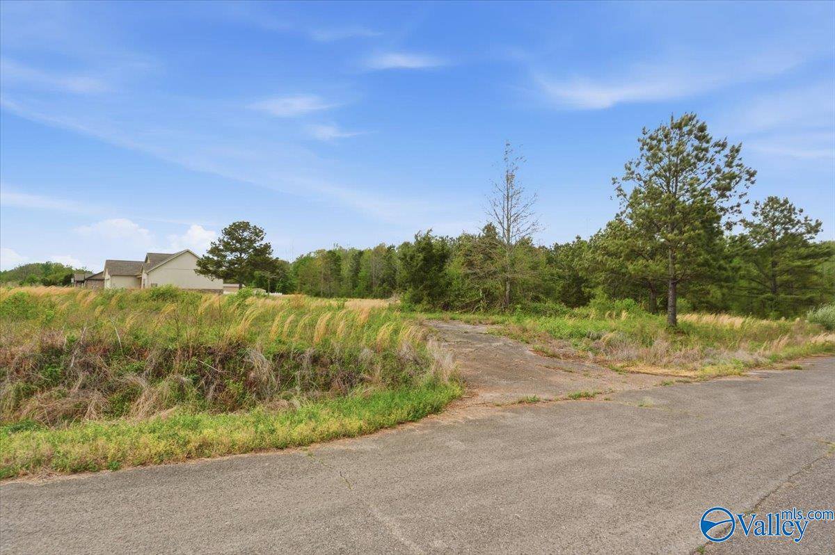 lot 8 Trails End Drive, Athens, AL 35611