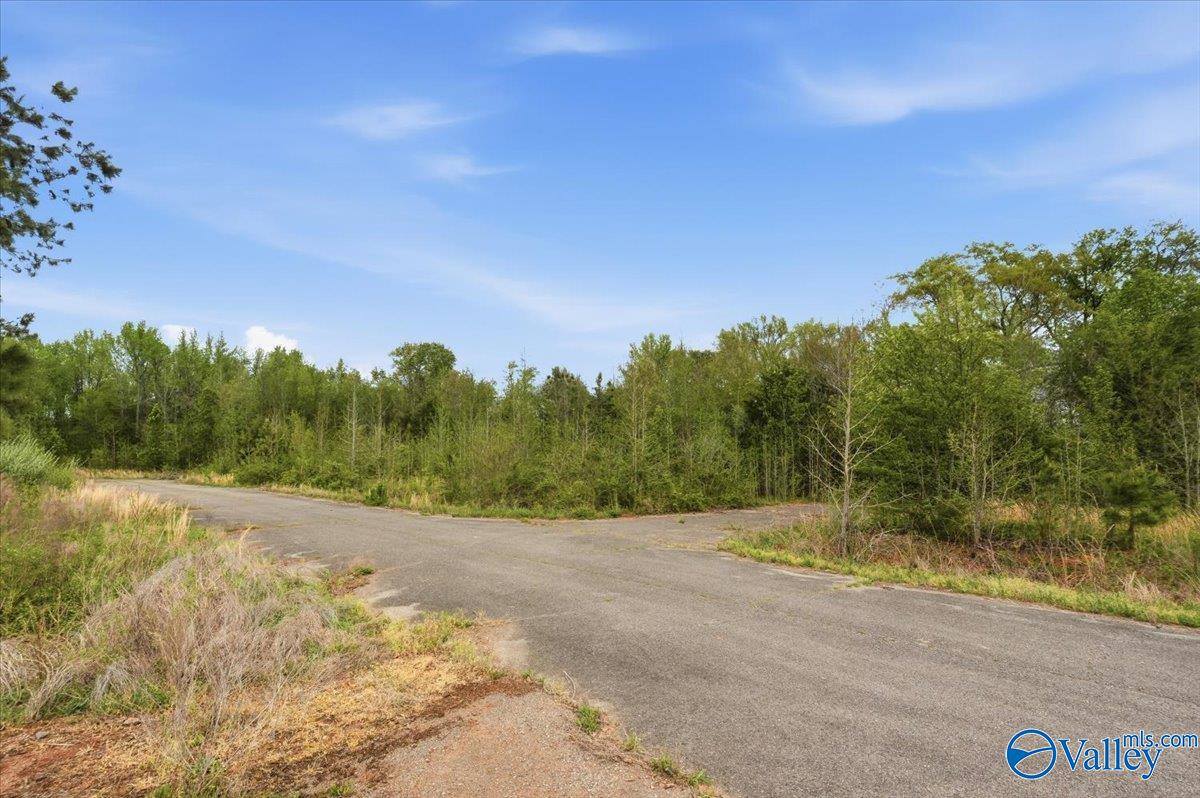 lot 8 Trails End Drive, Athens, AL 35611