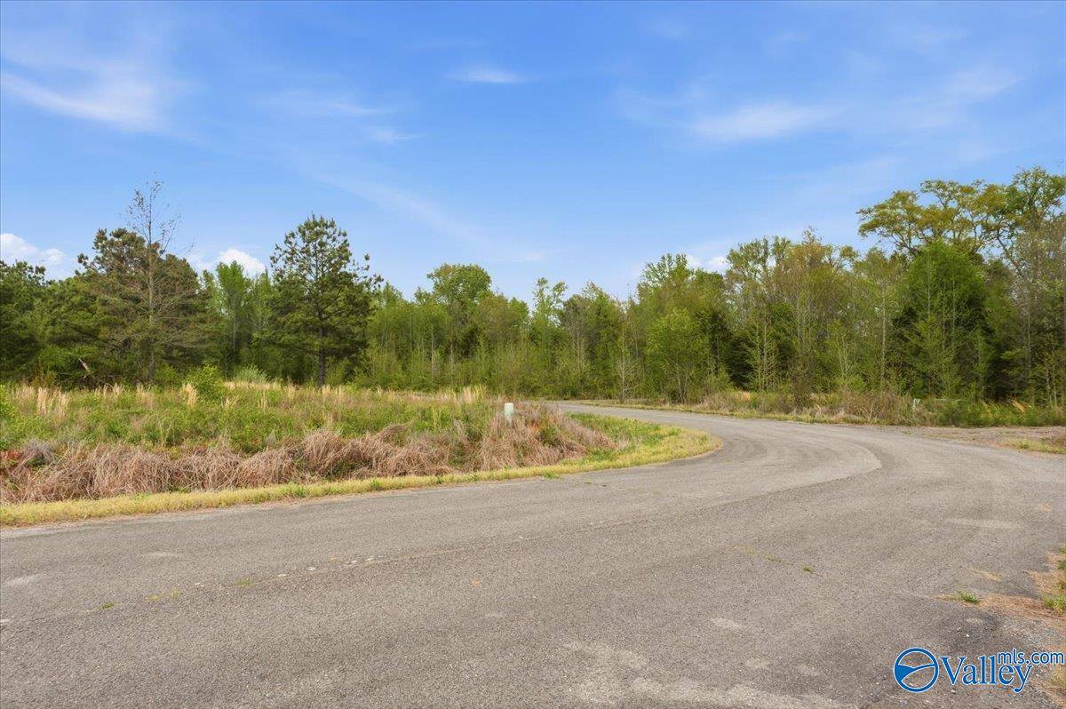 lot 8 Trails End Drive, Athens, AL 35611