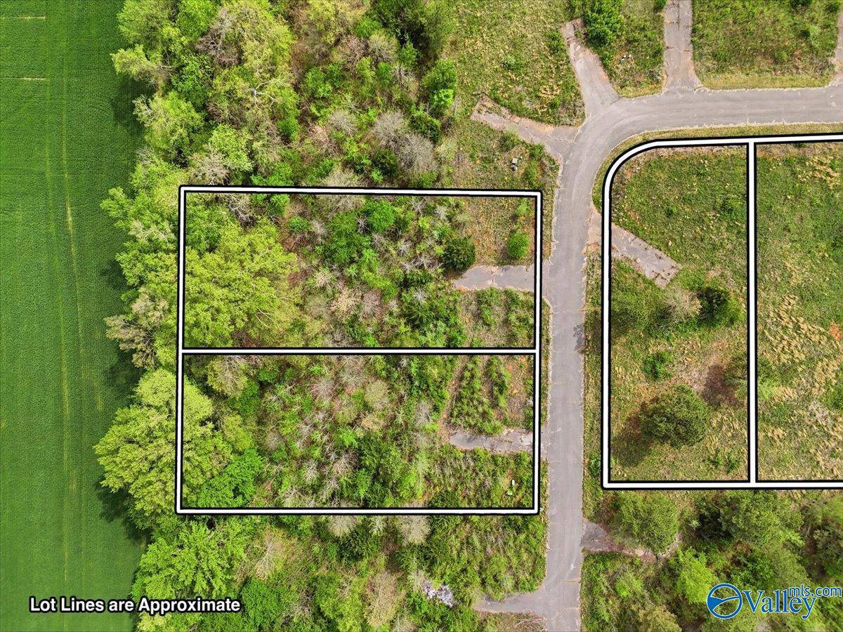 lot 8 Trails End Drive, Athens, AL 35611