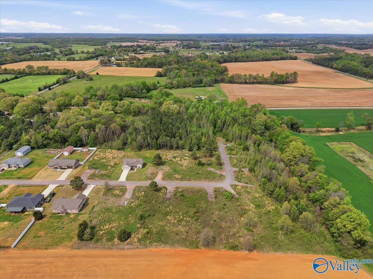 lot 8 Trails End Drive, Athens, AL 35611