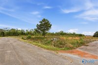 lot 8 Trails End Drive, Athens, AL 35611
