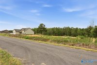 lot 8 Trails End Drive, Athens, AL 35611