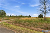 lot 8 Trails End Drive, Athens, AL 35611
