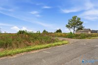 lot 8 Trails End Drive, Athens, AL 35611