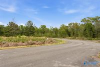 lot 8 Trails End Drive, Athens, AL 35611