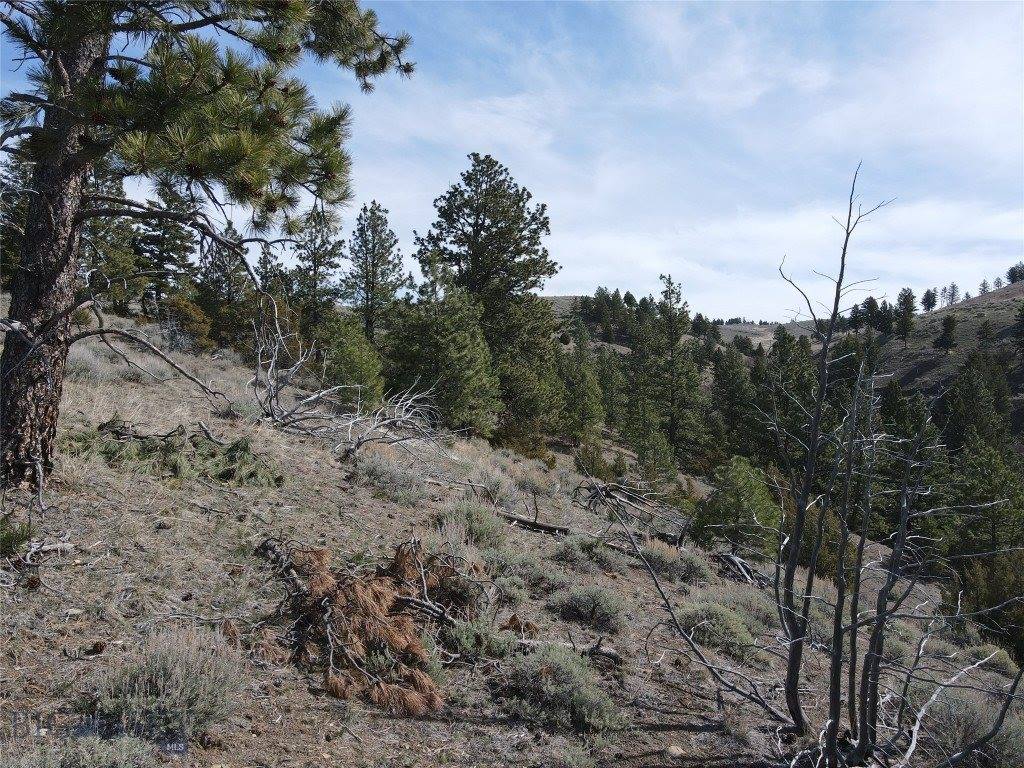 55 Upper Ross Gulch, Townsend, MT 59644