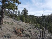 55 Upper Ross Gulch, Townsend, MT 59644