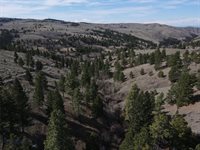 55 Upper Ross Gulch, Townsend, MT 59644