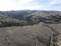 55 Upper Ross Gulch, Townsend, MT 59644