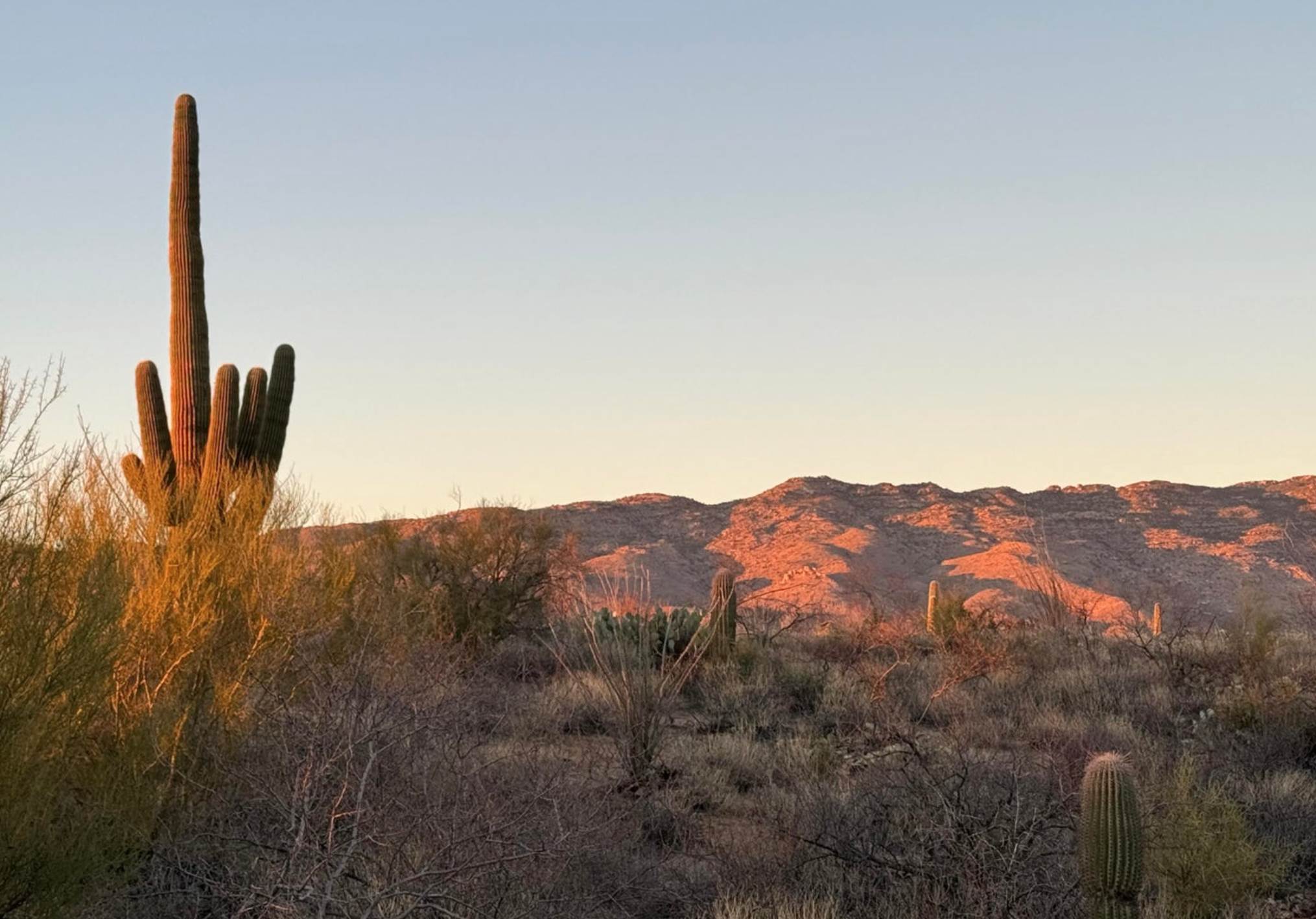 15325 E Tumbling L Ranch Place, 120, Vail, AZ 85747