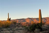 15325 E Tumbling L Ranch Place, 120, Vail, AZ 85747