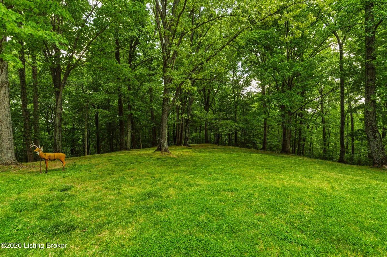 280 Oolite Rd, Battletown, KY 40104