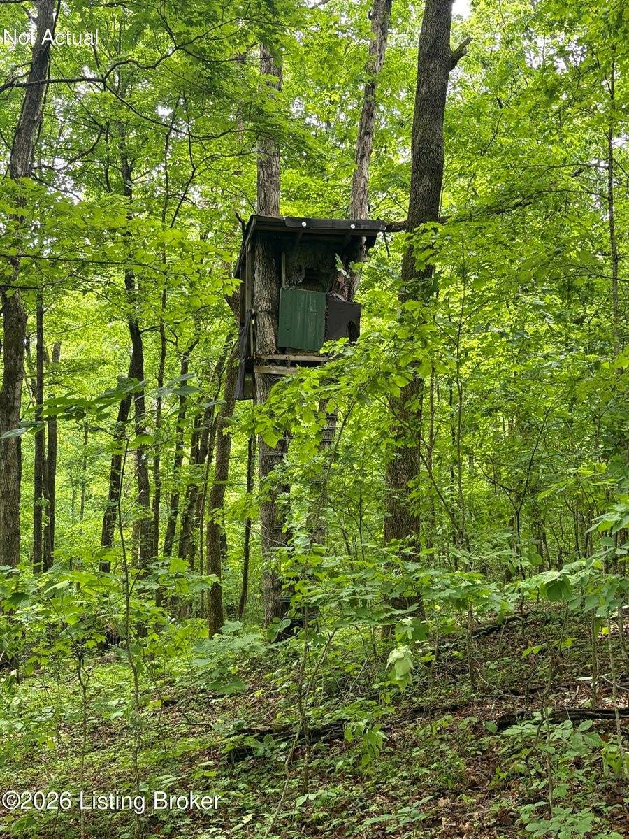 280 Oolite Rd, Battletown, KY 40104