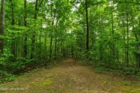 280 Oolite Rd, Battletown, KY 40104