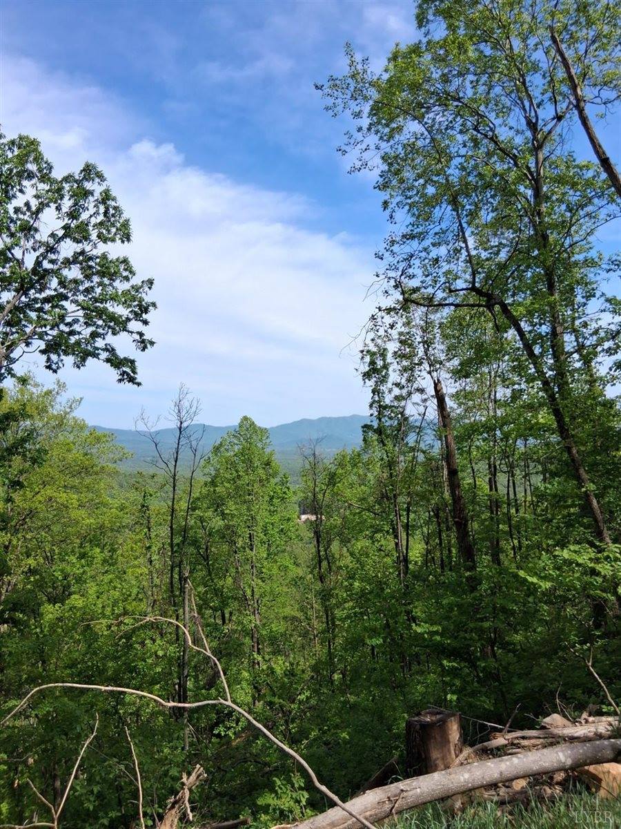 0 Robinson Gap Road, Monroe, VA 24574