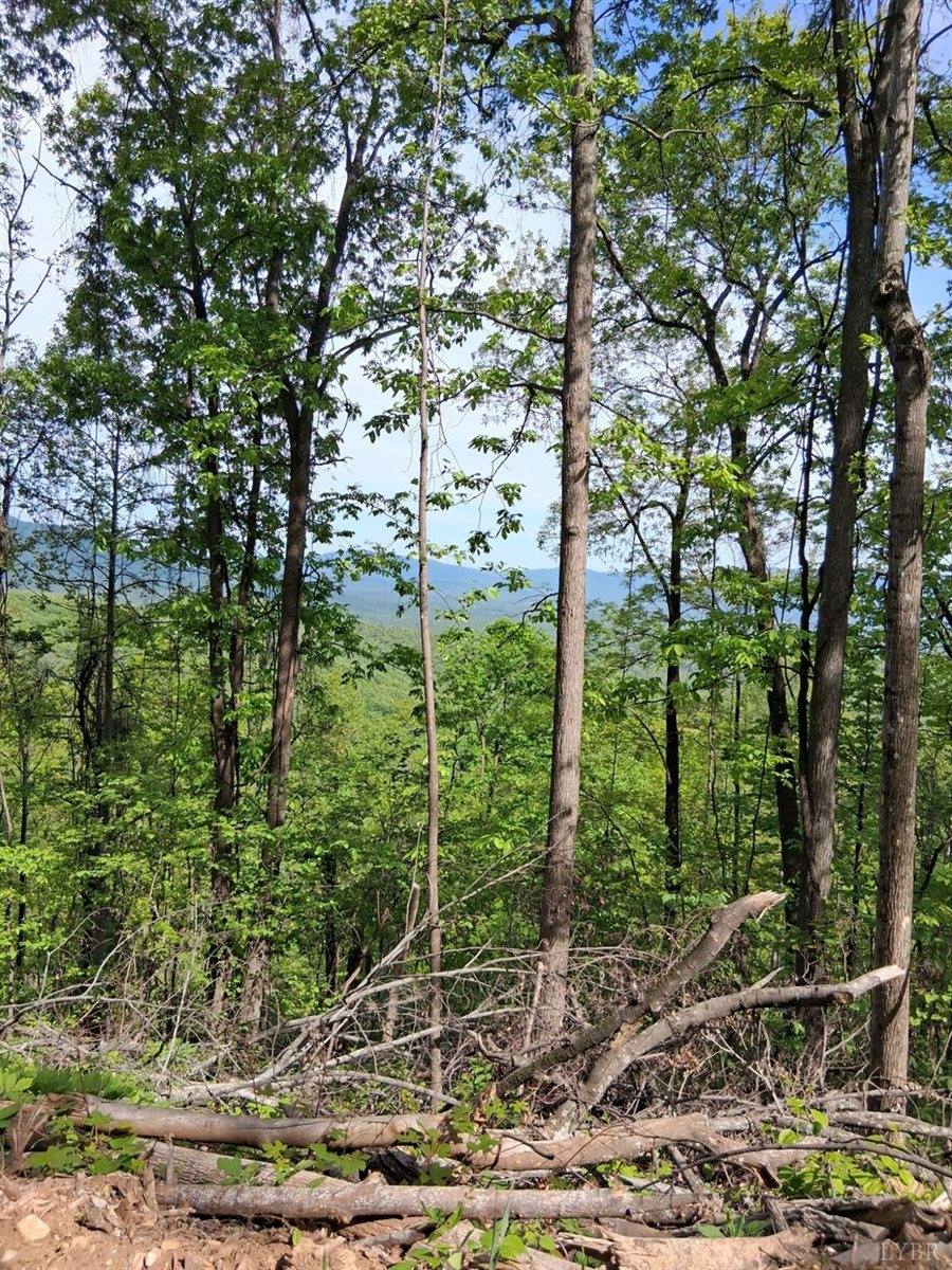 0 Robinson Gap Road, Monroe, VA 24574