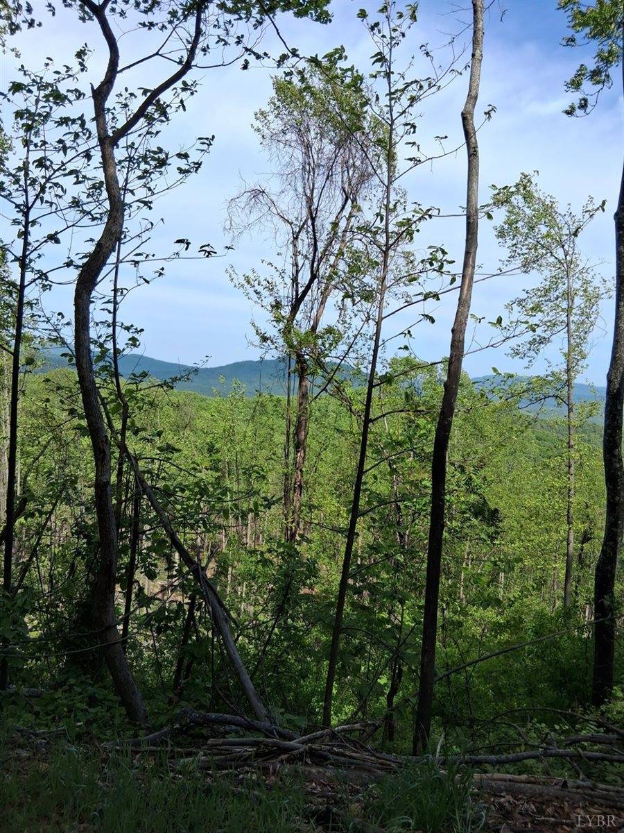 0 Robinson Gap Road, Monroe, VA 24574