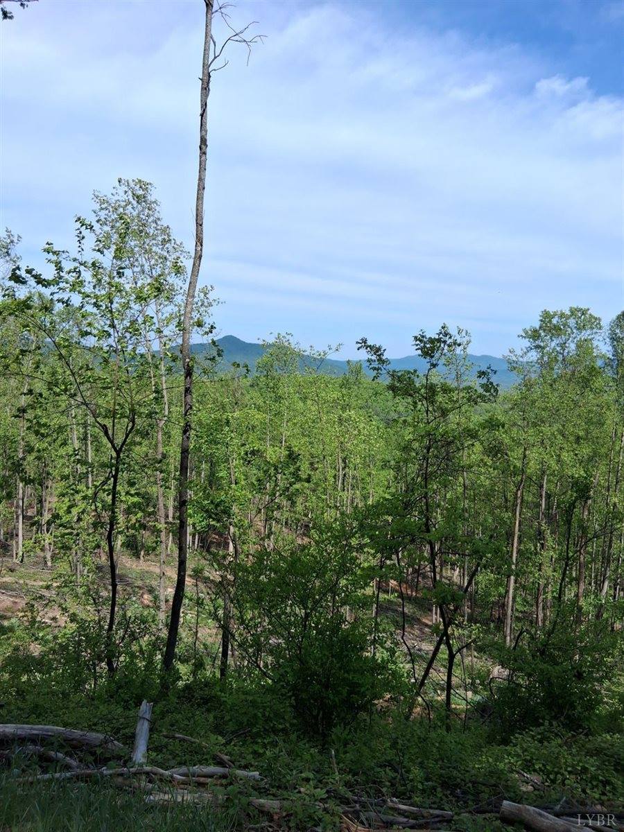 0 Robinson Gap Road, Monroe, VA 24574