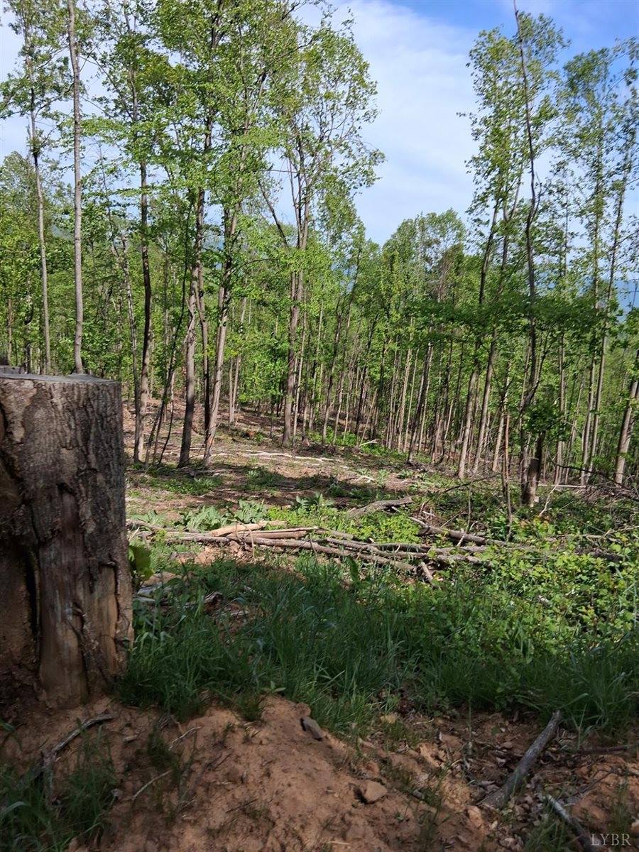0 Robinson Gap Road, Monroe, VA 24574