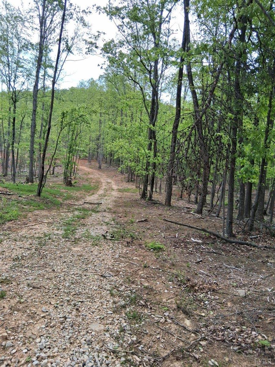 0 Robinson Gap Road, Monroe, VA 24574