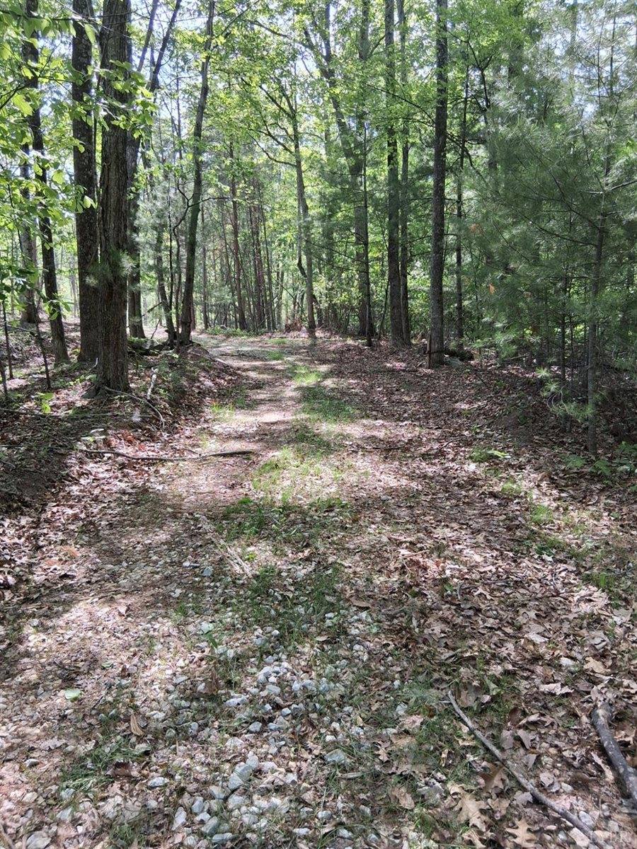 0 Robinson Gap Road, Monroe, VA 24574