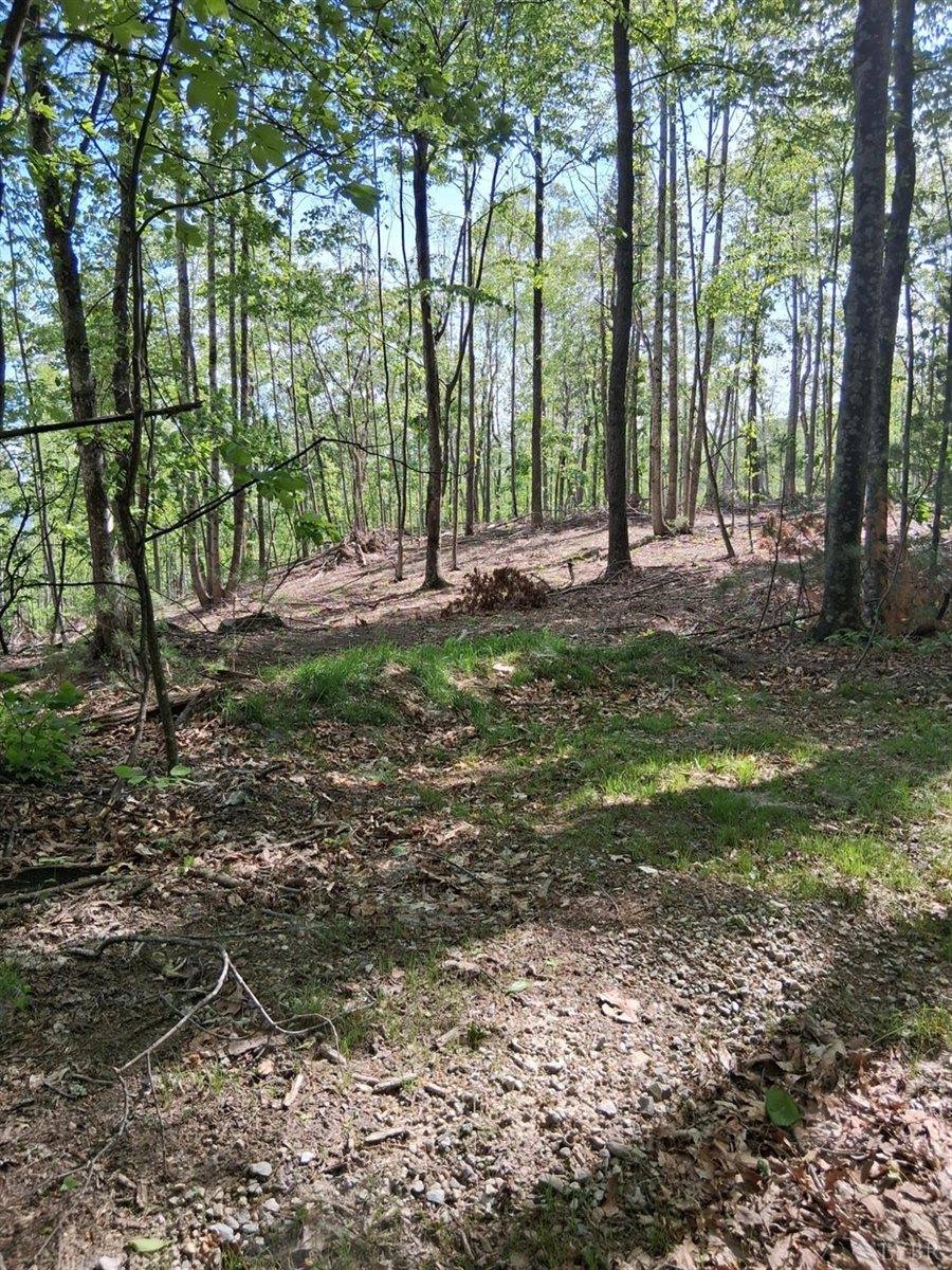 0 Robinson Gap Road, Monroe, VA 24574