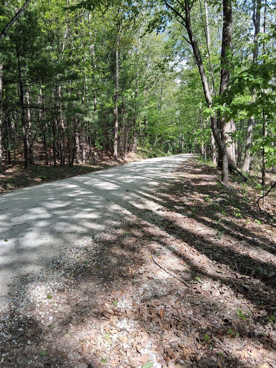0 Robinson Gap Road, Monroe, VA 24574